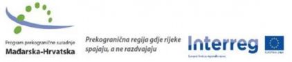 Capture 1